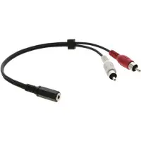 Kramer Electronics C-A35F/2RAM-1, 3.5mm, Männlich, 2 x RCA, Weiblich, 0,3 m, Schwarz