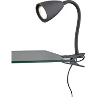 TRIO Tischlampe Wanda mit Klemme schwarz