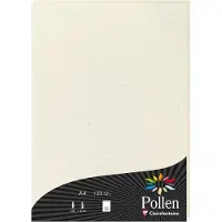 Pollen Papier
