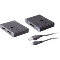 Shiverpeaks PROFESSIONAL DisplayPort 1.4 Umschalter 2x1 8K