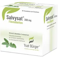 Johannes Bürger Ysatfabrik GmbH Salvysat 300 mg Filmtabletten 90 St