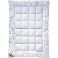 Billerbeck 321 CLASSIC-CLEAN