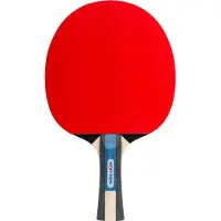 Sport-Thieme Tischtennisschläger Champ