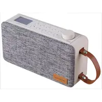 Scansonic PA6000, 6 W, Kabellos, 10 m, Grau, Weiß, Drehregler, LCD
