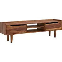 Wohnling Lowboard Sheesham Massivholz 145x43x35 cm TV-Kommode mit zwei Türen TV-Schrank Hoch Fernsehtisch Fernsehschrank Modern Fernsehkommode