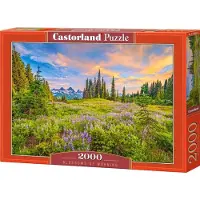Castorland Puzzle Blossoms of Morning - 2000 Teile Jigsaw