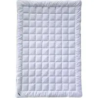 Billerbeck Super Wash