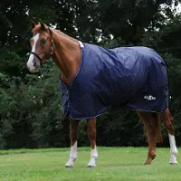 WeatherBeeta Saxon Defiant 600D