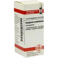 DHU-Arzneimittel GmbH & Co. KG Syzygium Jambolanum D 6 Globuli 10 g