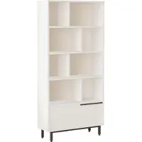 Homitis Bookshelf