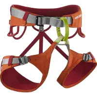 Edelrid - Klettergurt &ndash; Unisex &ndash; Jay IV - Jay Iv Hokkaido - Größe XL - Orange
