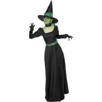 Smiffys Böse Hexe - Wicked Witch