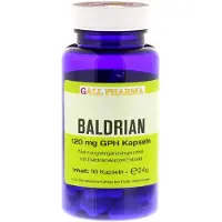 Hecht-Pharma Gmbh Baldrian 120 mg GPH Kapseln 90 St
