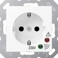 JUNG SCHUKO-Steckdose 16A 250V alpinweiß 1 Stück