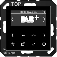 JUNG Smart Radio DABASW DAB+