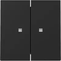 Gira 3631005 Wippe 2f Kontrollf. System 55 Schwarz m