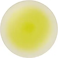 Asa selection Unterteller Koi Yellow 32 cm