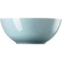 Thomas Sunny Day Soft Blue Müslischale 15 cm Sunny Day Soft Blue 10850-408600-15455