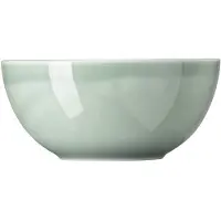 Thomas Daily Schüssel moss green 21 cm
