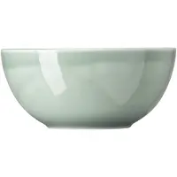 Thomas Daily Moss Green Schüssel 24 cm Daily Moss Green 10853-401922-13324