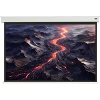 Celexon Batterie Leinwand V2.0 Motor Professional Plus 200 x 150 cm