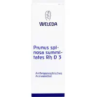 Weleda PRUNUS SPINOSA SUMMITATES Rh D 3 Dilution 20 ml Dilution