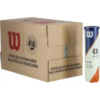 Wilson Tennisball Roland Garros Clay (4er-Dose)