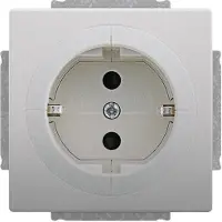 Busch-Jaeger Busch-Objektsteckdose mit erh. 2CKA002013A5408