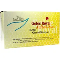 Imopharm Pharmazeutische Handelsgesellschaft mbH Gelee Royal Aufbaukur M800 Trinkampullen 14X20 g