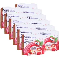 Danone Deutschland GmbH Nutrini Creamy Fruit Beerenfrüchte 48X100 g