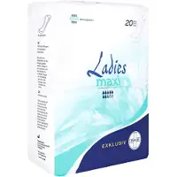 Param GmbH Param Ladies Exklusiv Inkontinenz-Einl.m 20 St