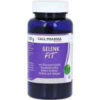Hecht-Pharma Gmbh Gelenk-fit GPH Kapseln 90 St
