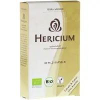 Terra Mundo Hericium Vitalpilz Bio Kapse 40 St