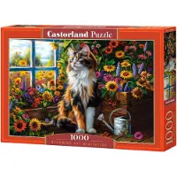 Sonstige Verlage Castorland 1000 Piece Jigsaw Puzzles, Blooming Cat Meditatio