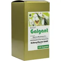 Diamant Natuur B. V. s.r.o. Galgant Kapseln 120 St