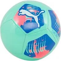 Puma Big Cat ball
