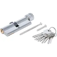 BGS-technic Sicherheits-Türzylinder