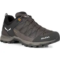 Salewa Schuhe Mtn Trainer Lite Gtx, 613617512