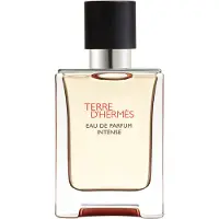 Hermès Paris - Hermes Terre D'Hermes Eau Intense Vetiver 50 ml Eau de Parfum Heren