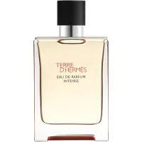 Hermès Paris Terre D'hermes Eau De Parfum Intense Rechargable 100ml Spray