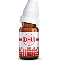 DHU Ephedra Vulgaris D 2 Globuli 10 g