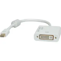Roline 4K Mini DisplayPort-DVI Adapter, Mini DP ST - DVI BU