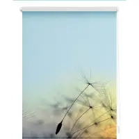 Lichtblick Rollo Klemmfix, ohne Bohren, Verdunkelung, Pusteblume - Blau 100 x 150 cm