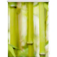 Lichtblick Seitenzugrollo "Rollo Klemmfix, ohne Bohren, Verdunkelung, Bambus - Grün", verdunkelnd, Verdunkelung-energiesparend, freihängend