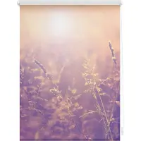 Lichtblick Rollo Klemmfix, ohne Bohren, Verdunkelung, Sommerabend - Orange Lichtblick Sonnenschutzsysteme Orange
