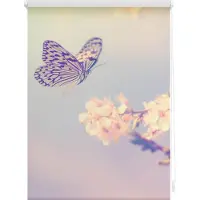 Lichtblick Original Seitenzugrollo "Rollo Klemmfix, ohne Bohren, Verdunkelung, Schmetterling - Rosa", verdunkelnd, Verdunkelung-energiesparend, freihängend