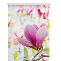 Lichtblick Original Seitenzugrollo "Rollo Klemmfix, ohne Bohren, Verdunkelung, Magnolie - Rosa", verdunkelnd, Verdunkelung-energiesparend, freihängend
