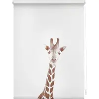Lichtblick Rollo Klemmfix, ohne Bohren, Verdunkelung, Giraffe - Braun 70 x 150 cm (B x L)