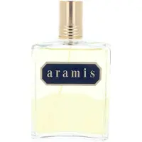 TECHSALES Eau de Toilette 240 ml