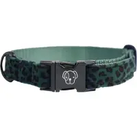 Kentucky Leopard Green Hundehalsband